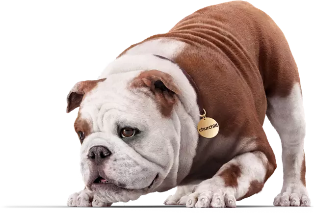Churchie